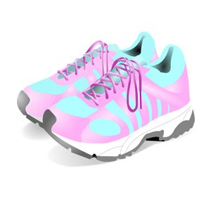 ביגוד הנעלה